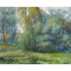 Кувшинки и ива