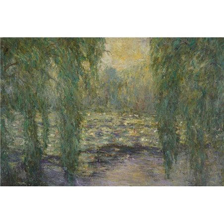 Кувшинки