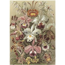 Орхидеи - Модульная картины, Репродукции, Декоративные панно, Декор стен