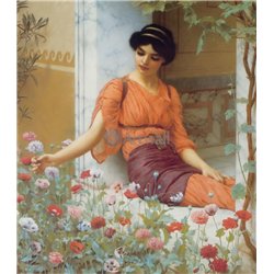 Летние цветы
