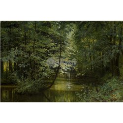 Лесная река