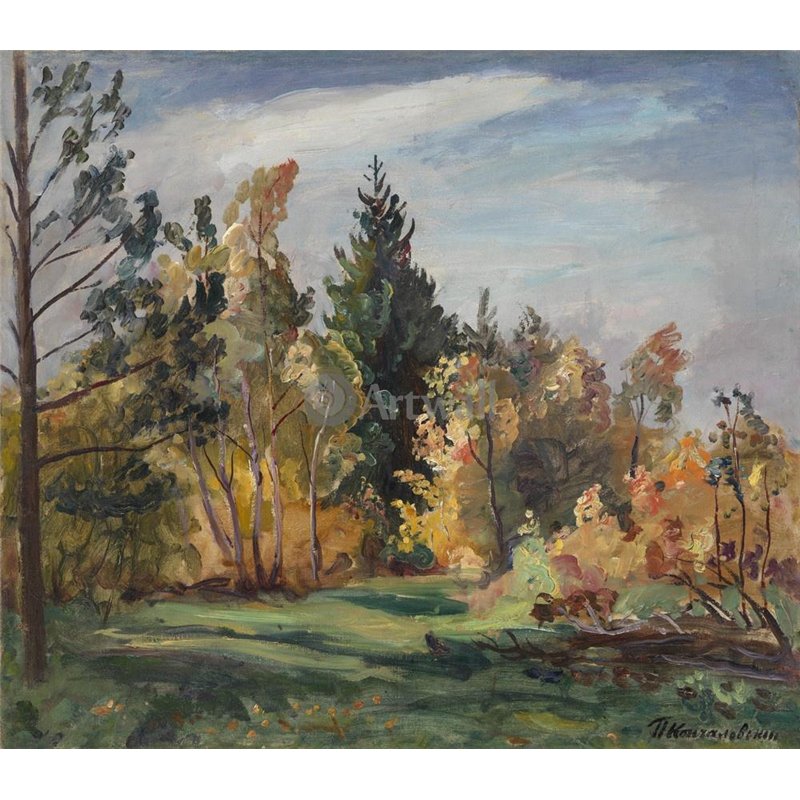 Луч солнца