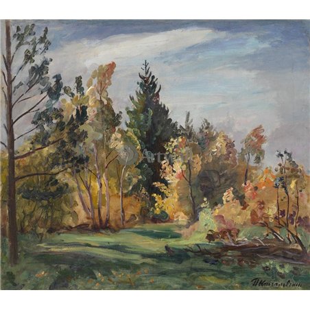 Луч солнца