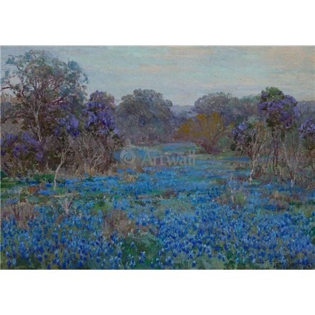 Люпиновое поле с деревьями