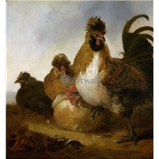 Картина на холсте по фото Модульные картины Печать портретов на холсте Петух и курицы