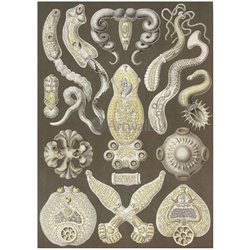Плоские черви - Модульная картины, Репродукции, Декоративные панно, Декор стен
