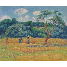 Картина на холсте по фото Модульные картины Печать портретов на холсте Пшеничное поле