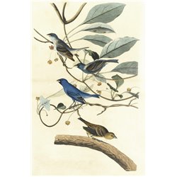 Птица индиго - Модульная картины, Репродукции, Декоративные панно, Декор стен