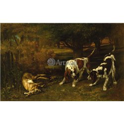 Охотничьи собаки