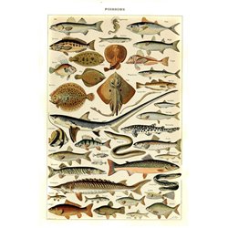 Рыбы - Модульная картины, Репродукции, Декоративные панно, Декор стен