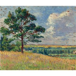 Пейзаж около Мервилля