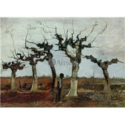 Пейзаж с подстриженными ивами