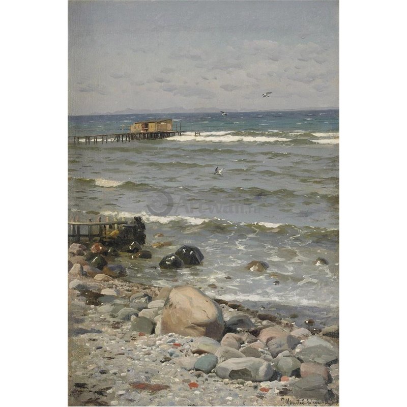 Пляж в Аальсгаарде