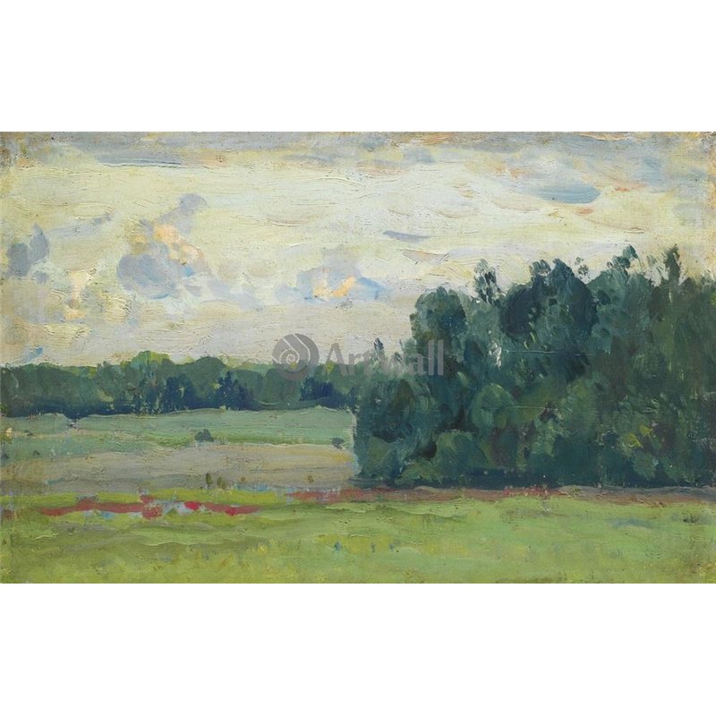 Поля