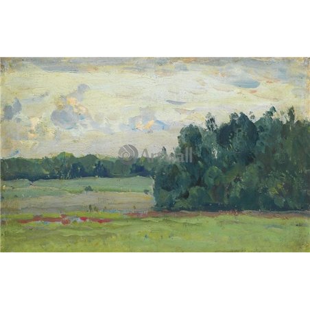 Поля