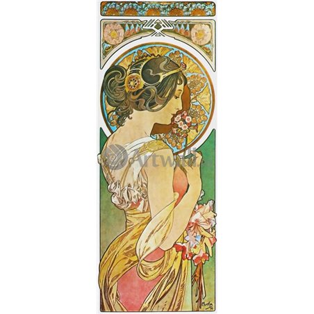 Примулы. Первоцвет
