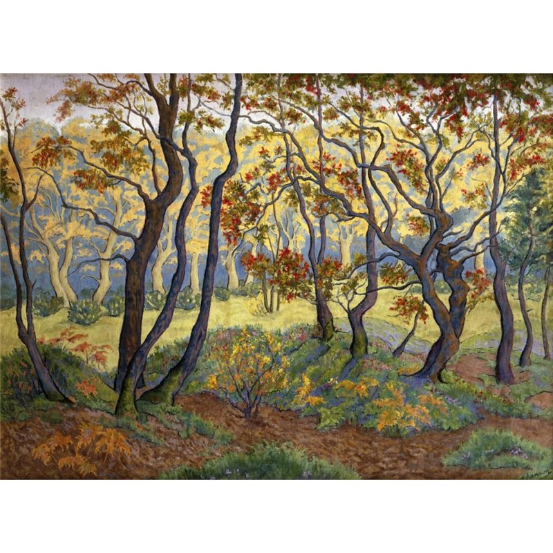 Прогалина