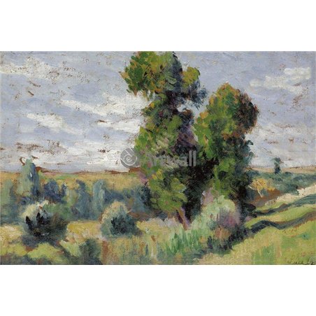 Роща