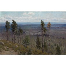 Картина на холсте по фото Модульные картины Печать портретов на холсте Холмы и лес