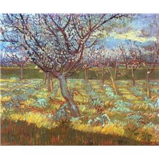 Картина на холсте по фото Модульные картины Печать портретов на холсте Цветущее абрикосовое дерево