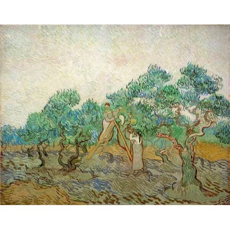 Сбор оливок, 1889