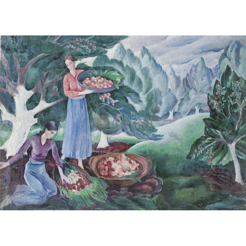 Сбор яблок