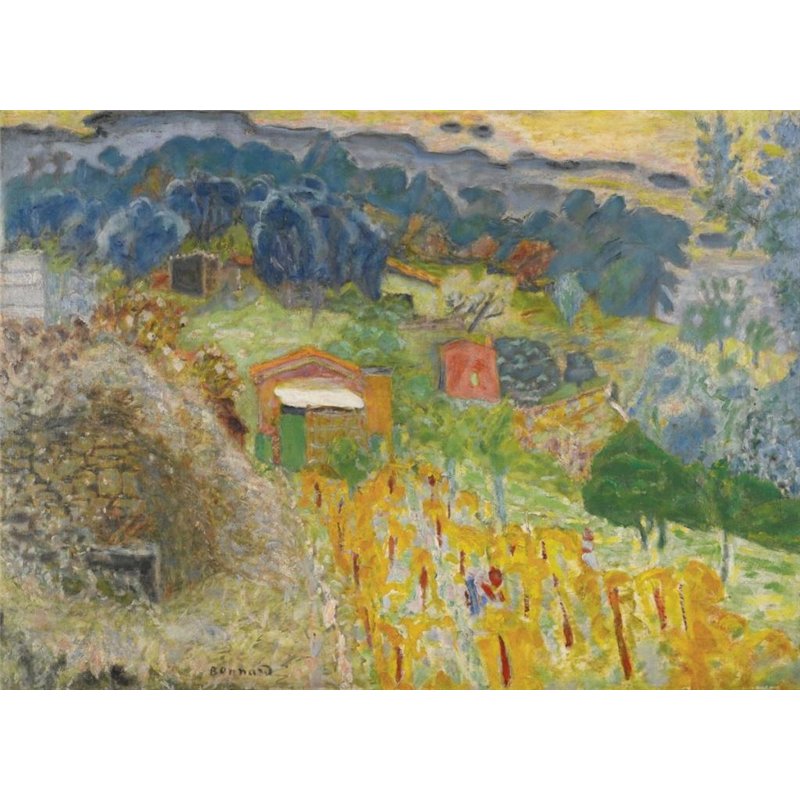 Сараи в Каннах