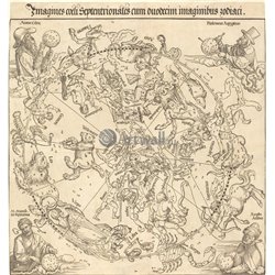 Северная небесная полусфера