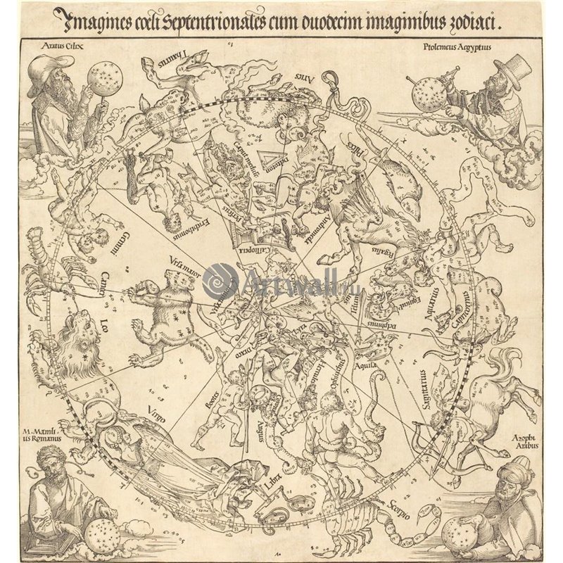 Северная небесная полусфера