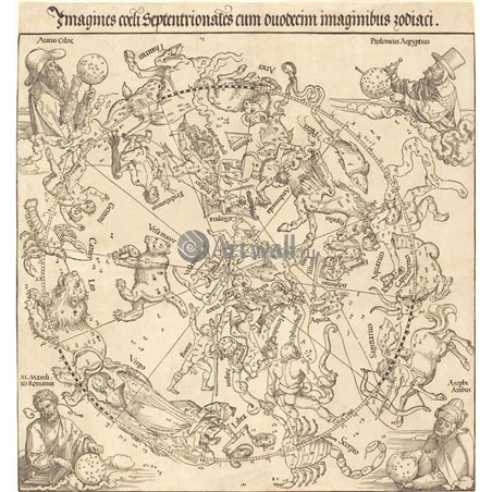 Северная небесная полусфера