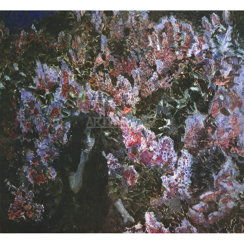 Сирень