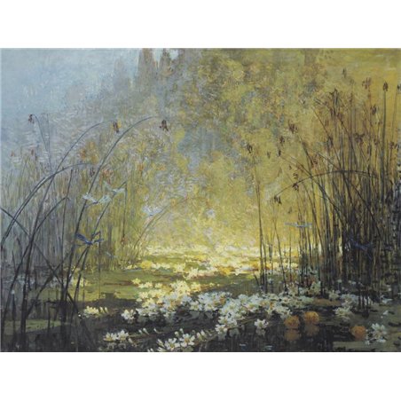 Пруд, кувшинки и стрекозы