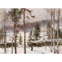 Снегопад