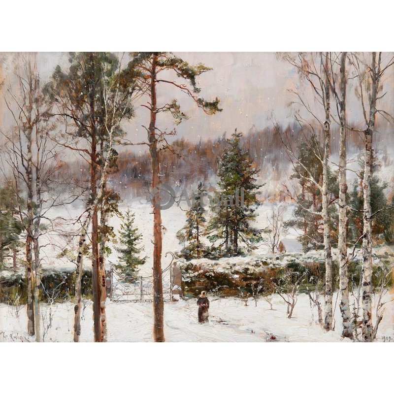 Снегопад