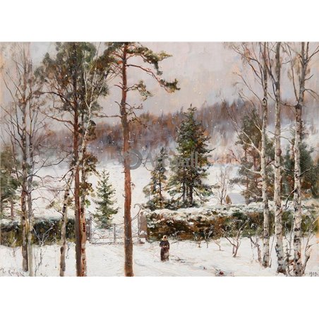Снегопад