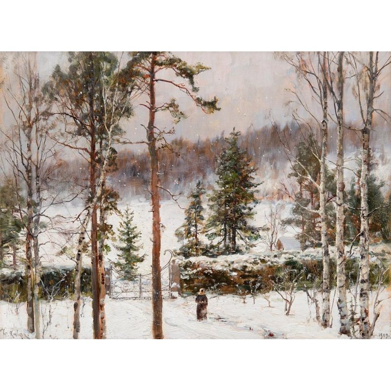 Снегопад