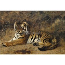 Картина на холсте по фото Модульные картины Печать портретов на холсте Тигр