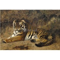 Портреты картины репродукции на заказ - Тигр