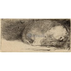 Картина на холсте по фото Модульные картины Печать портретов на холсте Спящий щенок
