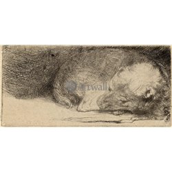 Спящий щенок - Модульная картины, Репродукции, Декоративные панно, Декор стен