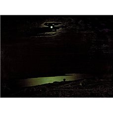 Картина на холсте по фото Модульные картины Печать портретов на холсте Лунная ночь на Днепре