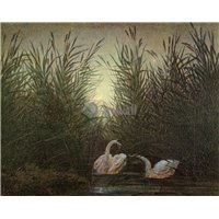 Портреты картины репродукции на заказ - Лебеди в тростнике