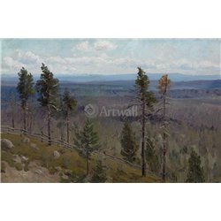 Холмы и лес