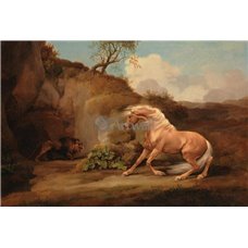 Картина на холсте по фото Модульные картины Печать портретов на холсте Лошадь, увидевшая льва