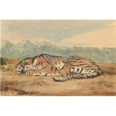 Картина на холсте по фото Модульные картины Печать портретов на холсте Королевский тигр
