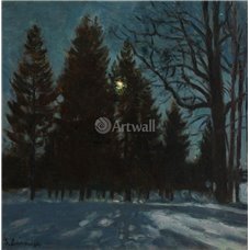 Картина на холсте по фото Модульные картины Печать портретов на холсте Зимней ночью