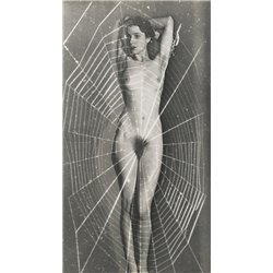 Женщина паук - Модульная картины, Репродукции, Декоративные панно, Декор стен
