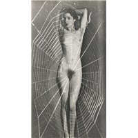 Портреты картины репродукции на заказ - Женщина паук