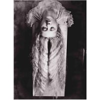 Портреты картины репродукции на заказ - Женщина с длинными волосами