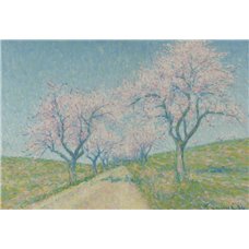 Картина на холсте по фото Модульные картины Печать портретов на холсте Дорога среди цветущих миндальных деревьев